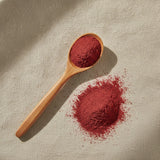 Cranberry Fruit Powder (Accinium Macrovarpon) | Create a luxurious, photorealistic product photograph featuring the original product naturally arranged in an elegant handcrafted wooden spoon on a soft, finely
