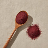 Cranberry Juice Powder (Vaccinium Macrovarpon) | Create a luxurious, photorealistic product photograph featuring the original product naturally arranged in an elegant handcrafted wooden spoon on a soft, finely