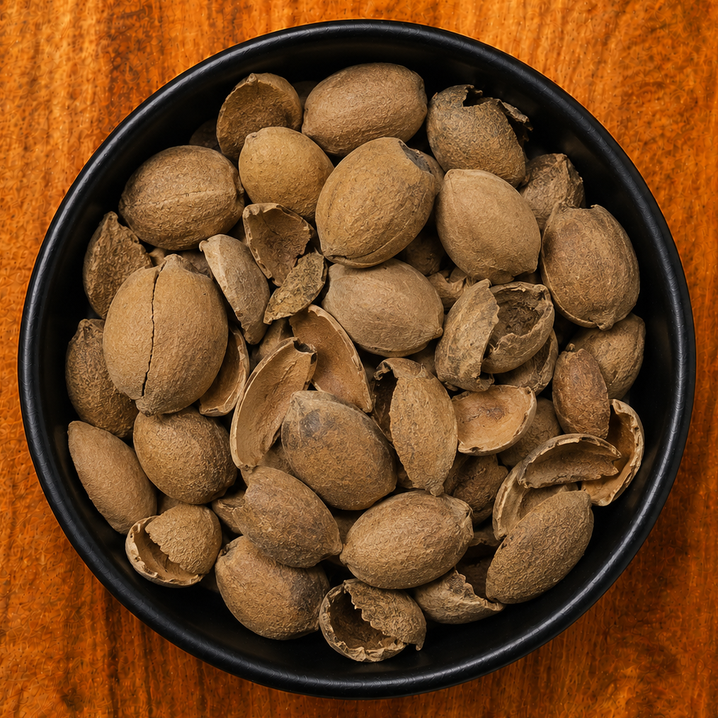Croton Seed Pieces (Croton Tiglium)