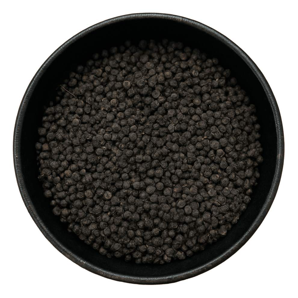  (Background Removed)