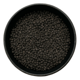  (Background Removed)