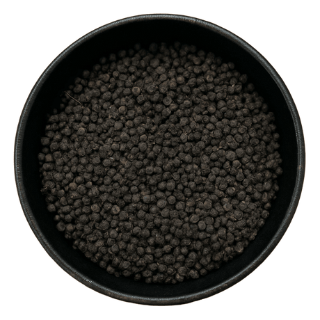  (Background Removed)