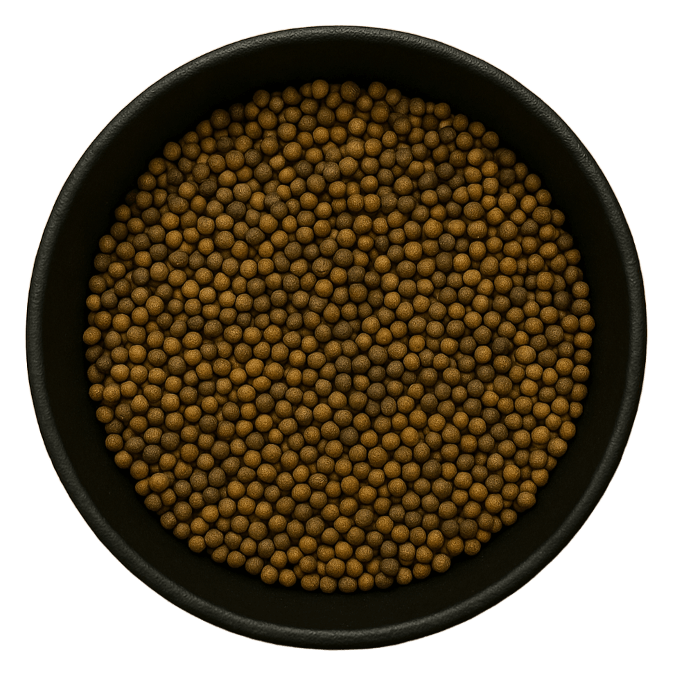  (Background Removed)