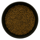  (Background Removed)