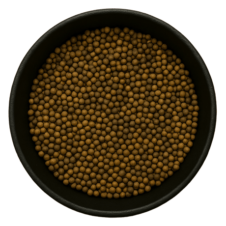  (Background Removed)