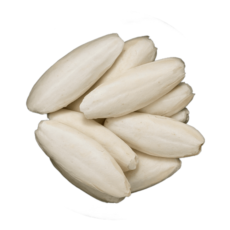  (Background Removed)