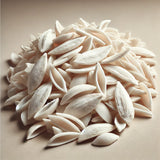Cuttlefish Bone Pieces (Sepia Esculenta)