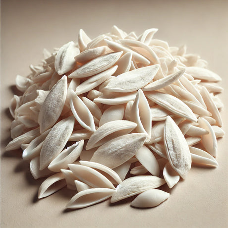 Cuttlefish Bone Pieces (Sepia Esculenta)