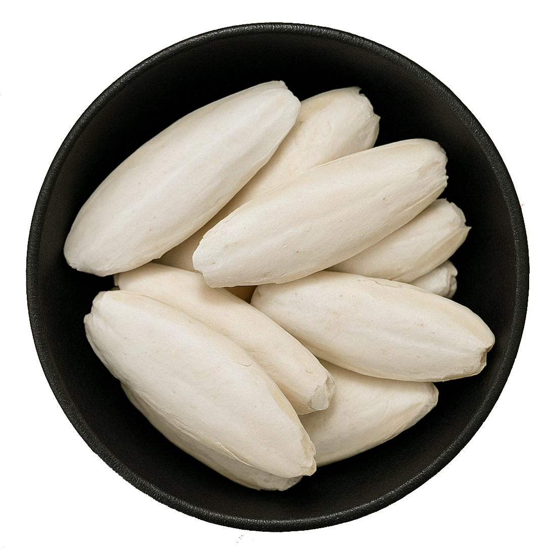 Cuttlefish Bone Pieces (Sepia Esculenta)