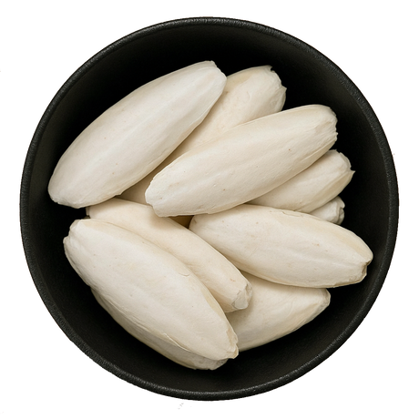 Cuttlefish Bone Pieces (Sepia Esculenta)