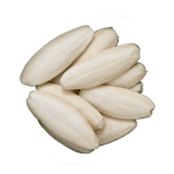 Cuttlefish Bone Pieces (Sepia Esculenta)