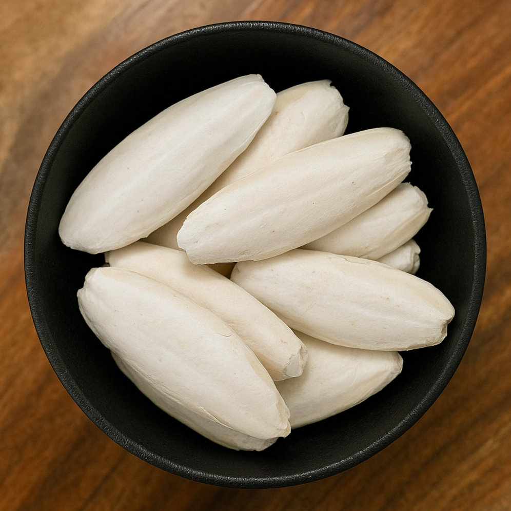 Cuttlefish Bone Pieces (Sepia Esculenta)