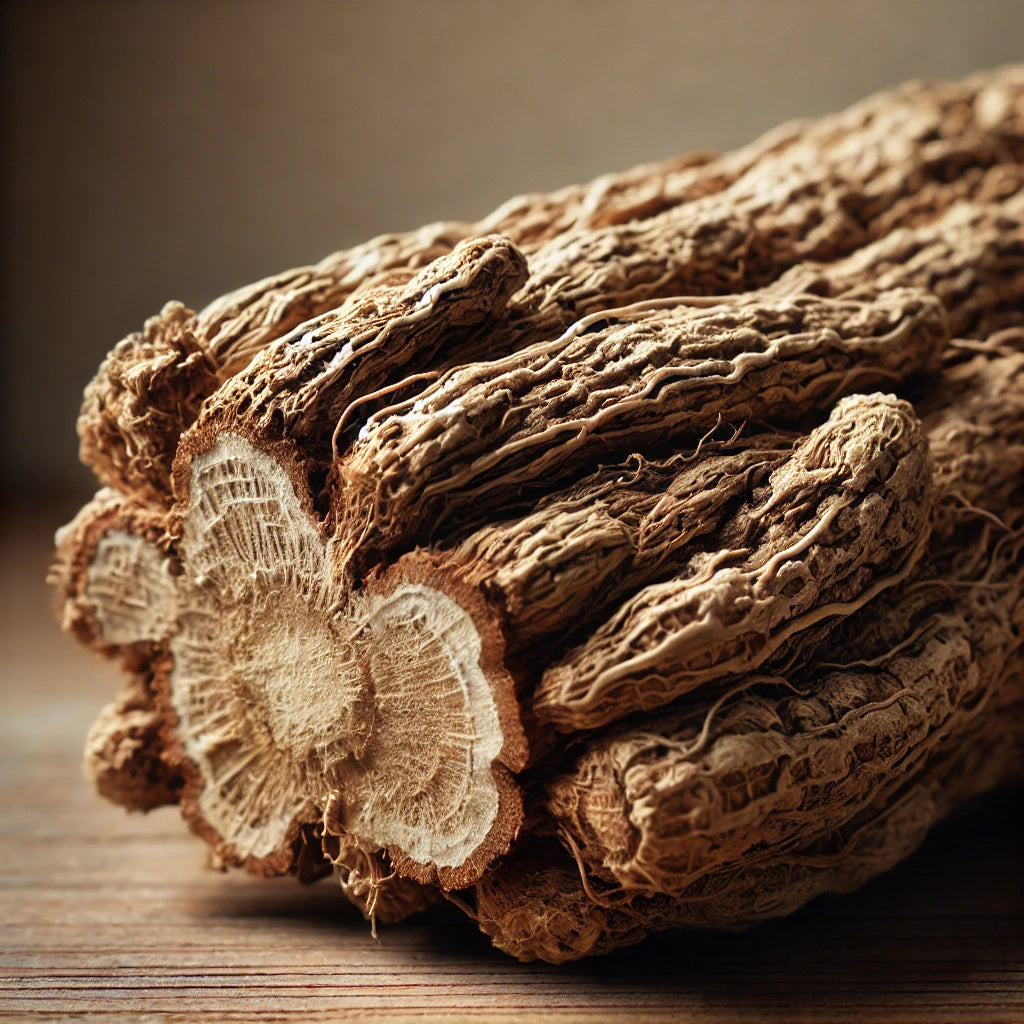 Dong Quai Root Whole (Angelica Sinensis)