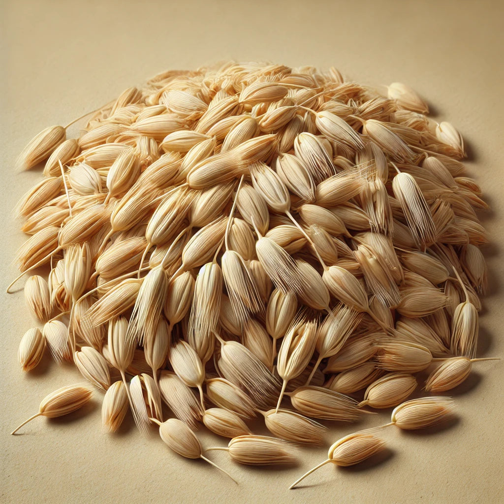 Barley Sprouts Whole (Hordeum Vulgare)