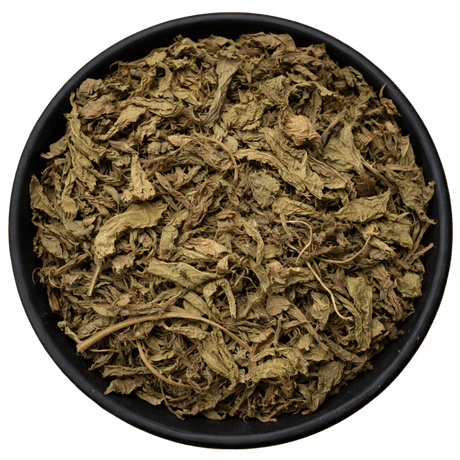  (Background Removed)