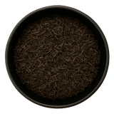  (Background Removed)