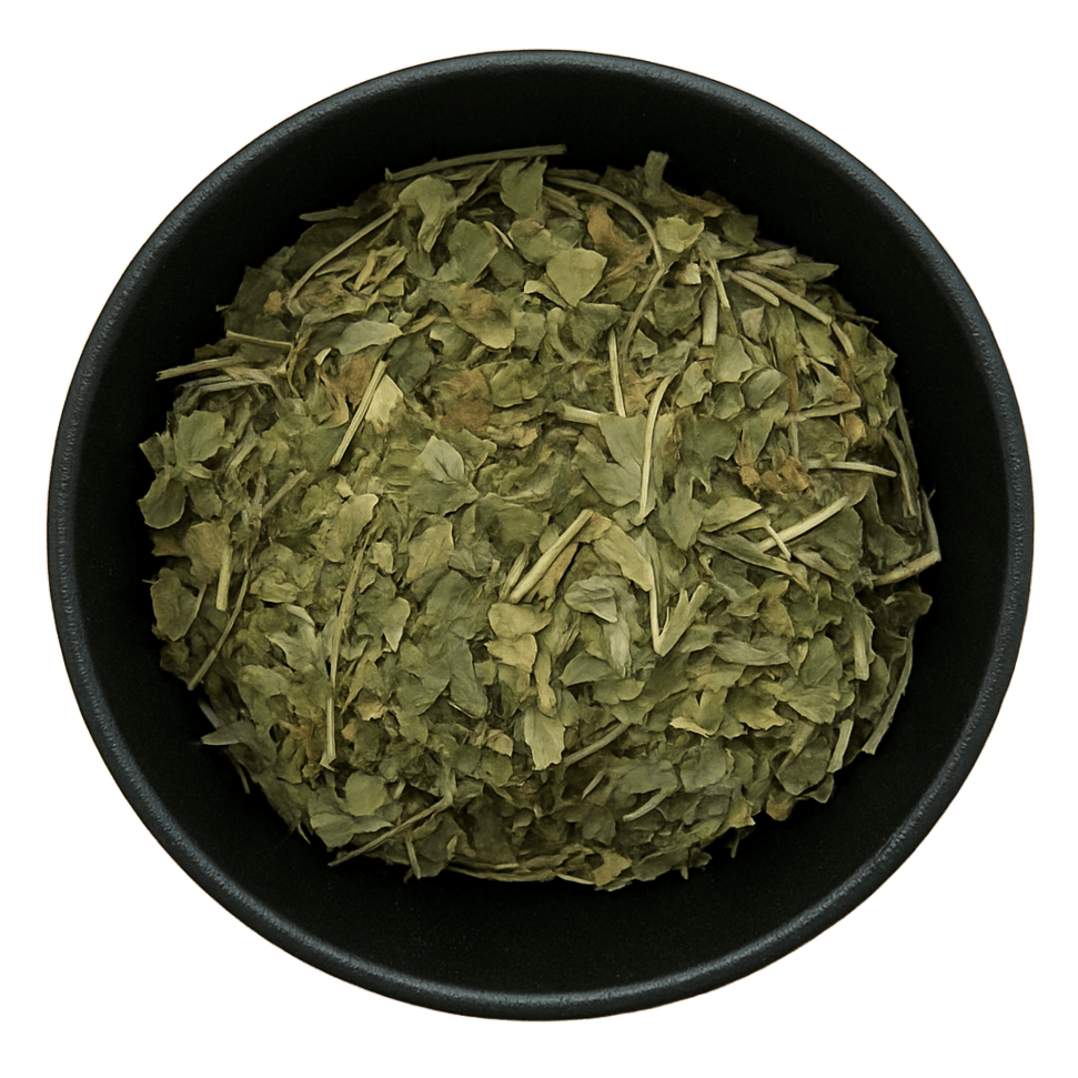  (Background Removed)