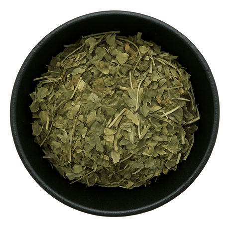  (Background Removed)