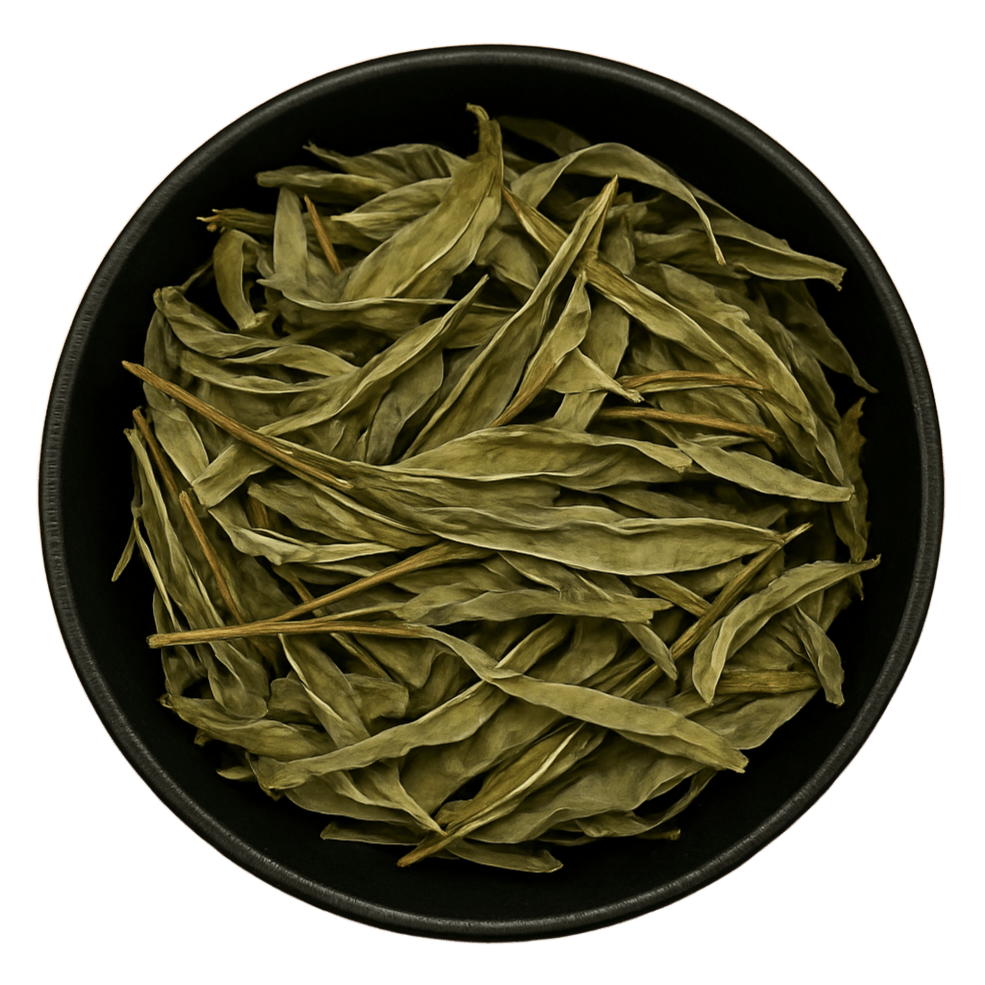  (Background Removed)