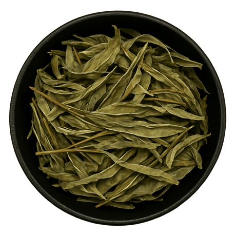  (Background Removed)