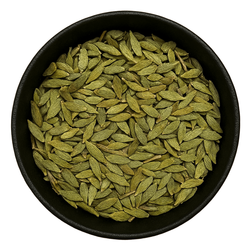  (Background Removed)