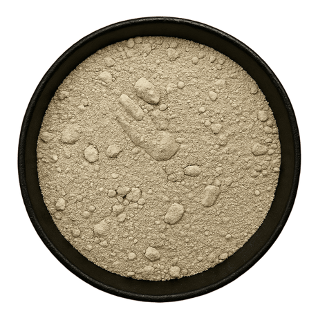  (Background Removed)