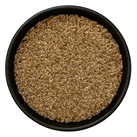  (Background Removed)