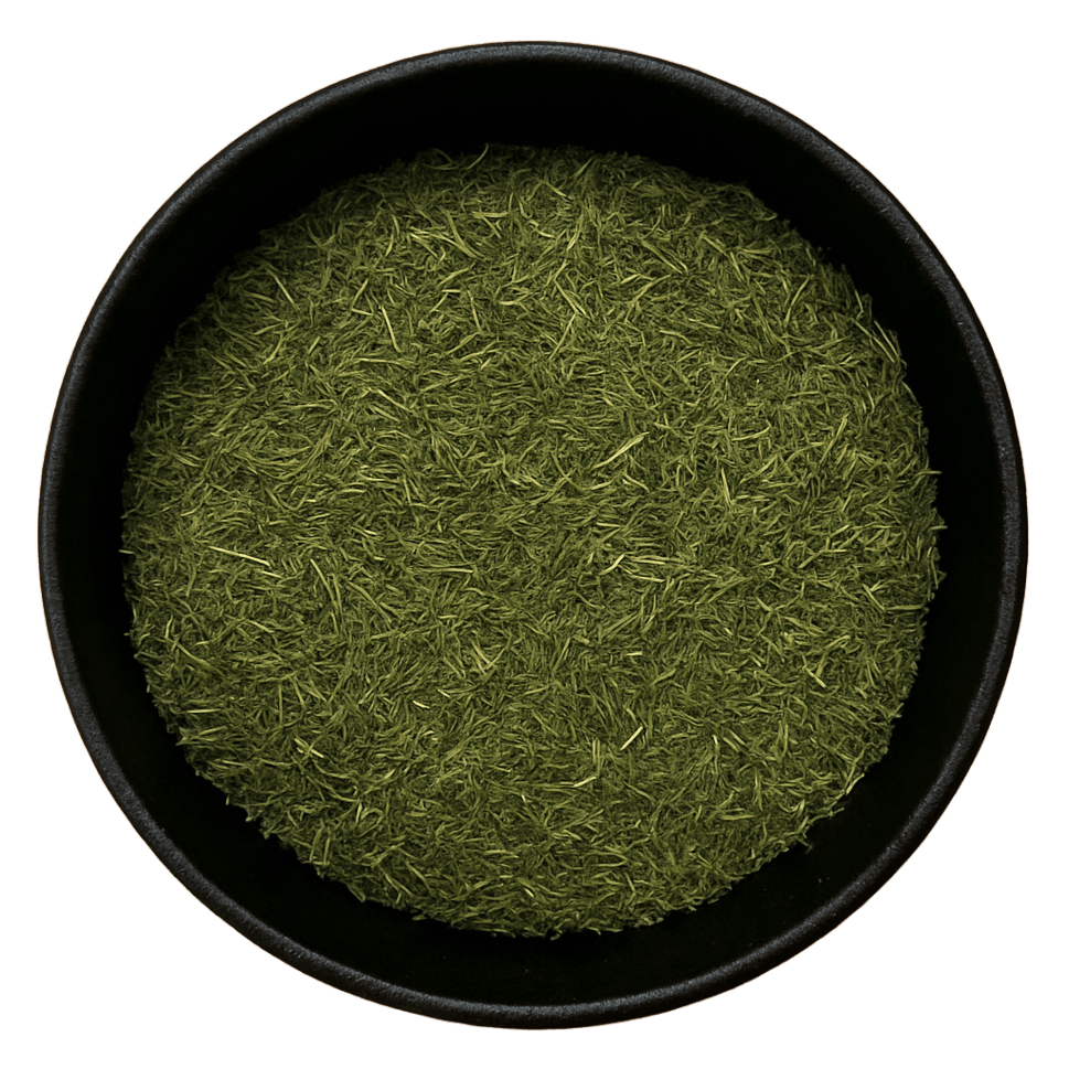  (Background Removed)