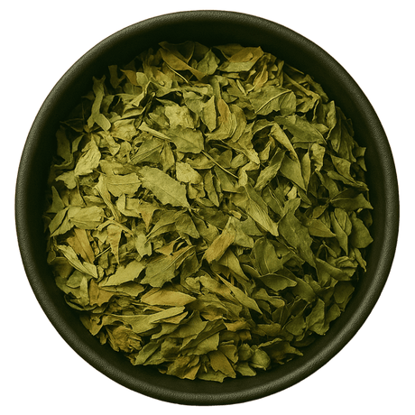  (Background Removed)