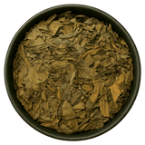  (Background Removed)