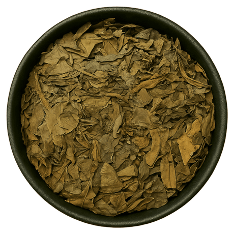  (Background Removed)