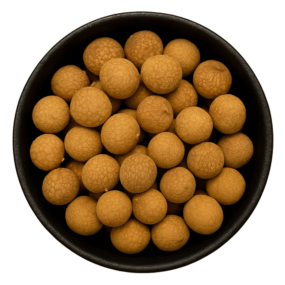  (Background Removed)