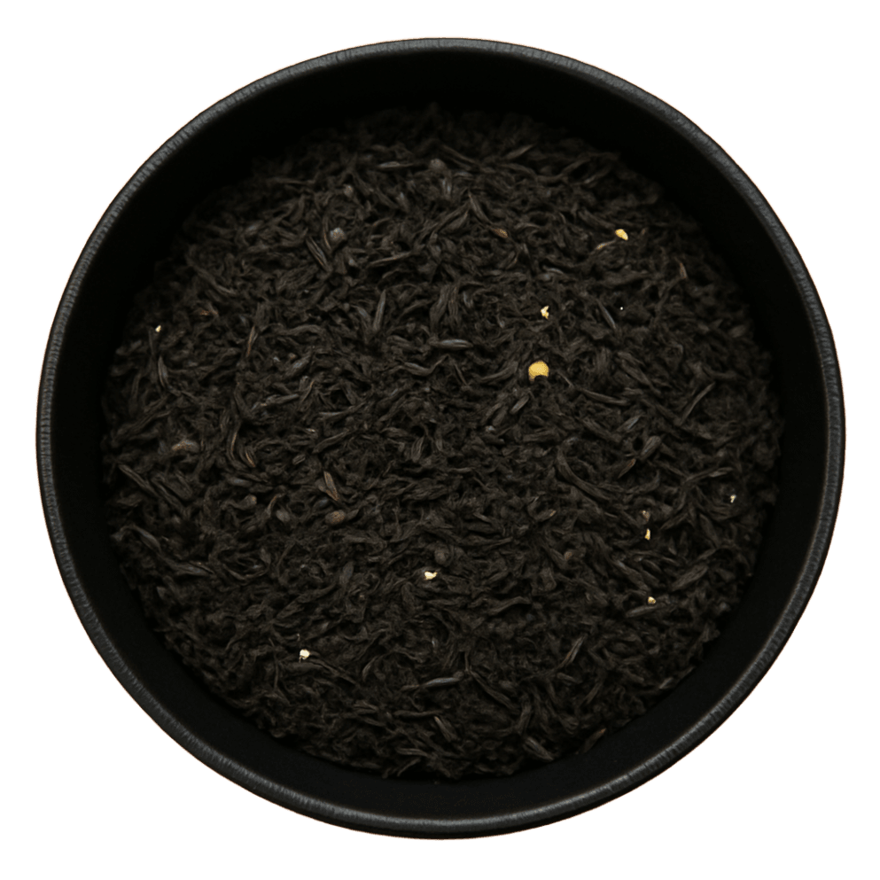  (Background Removed)