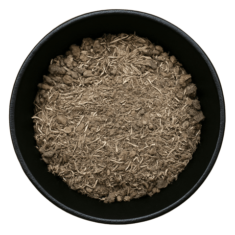  (Background Removed)