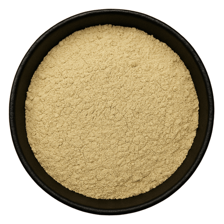  (Background Removed)