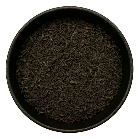  (Background Removed)