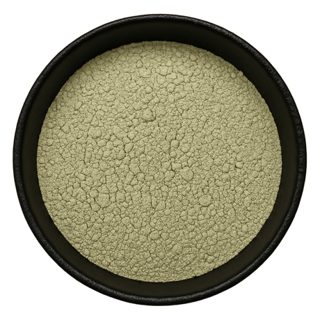  (Background Removed)