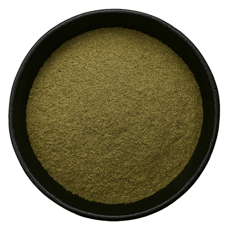  (Background Removed)