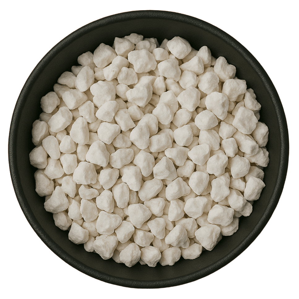  (Background Removed)