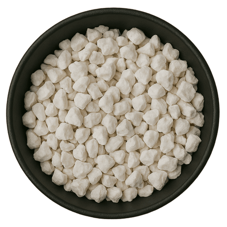  (Background Removed)