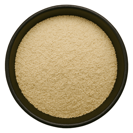  (Background Removed)