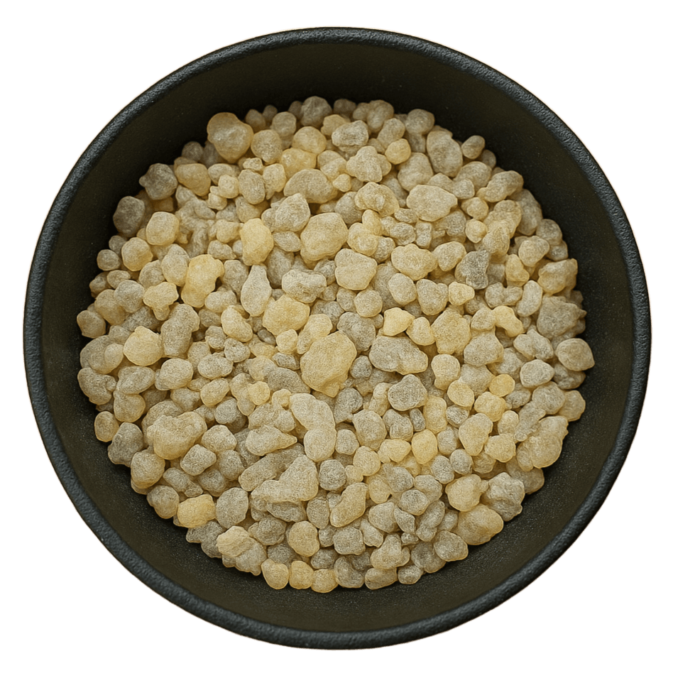  (Background Removed)