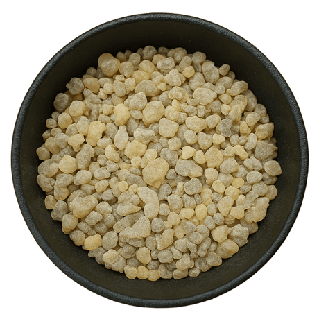  (Background Removed)