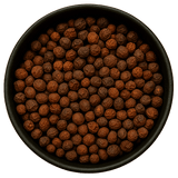  (Background Removed)