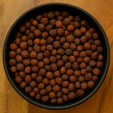 Galangal Fruit Whole (Alpinia Galanga)