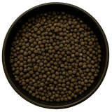  (Background Removed)