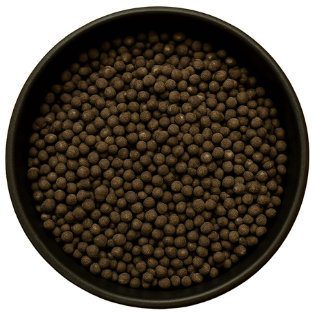  (Background Removed)