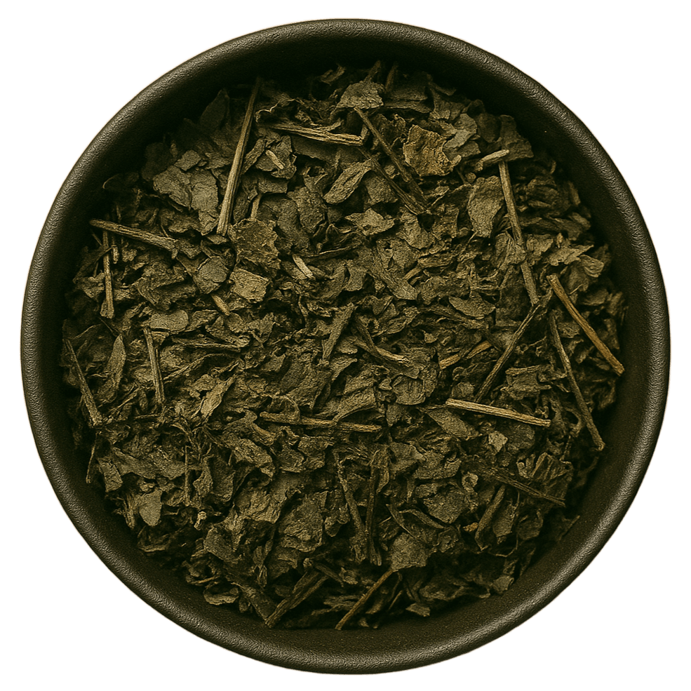  (Background Removed)