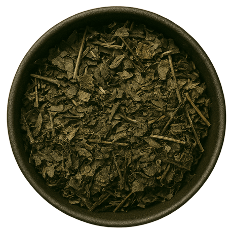  (Background Removed)