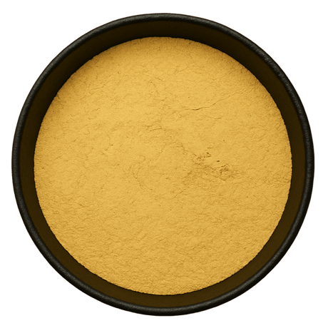  (Background Removed)